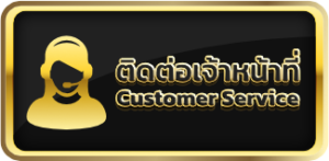 customer_service-300x147